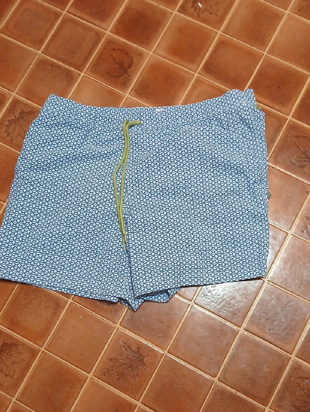 J. Crew Light Blue Geometric Swim Trunks with Yellow-Green Drawstring